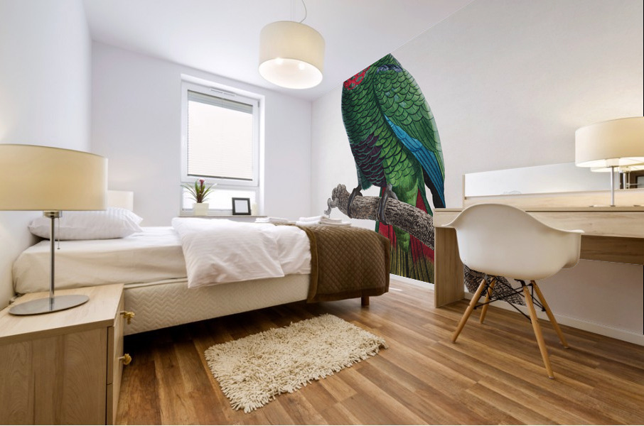 Rose-throated parrot  Mural print