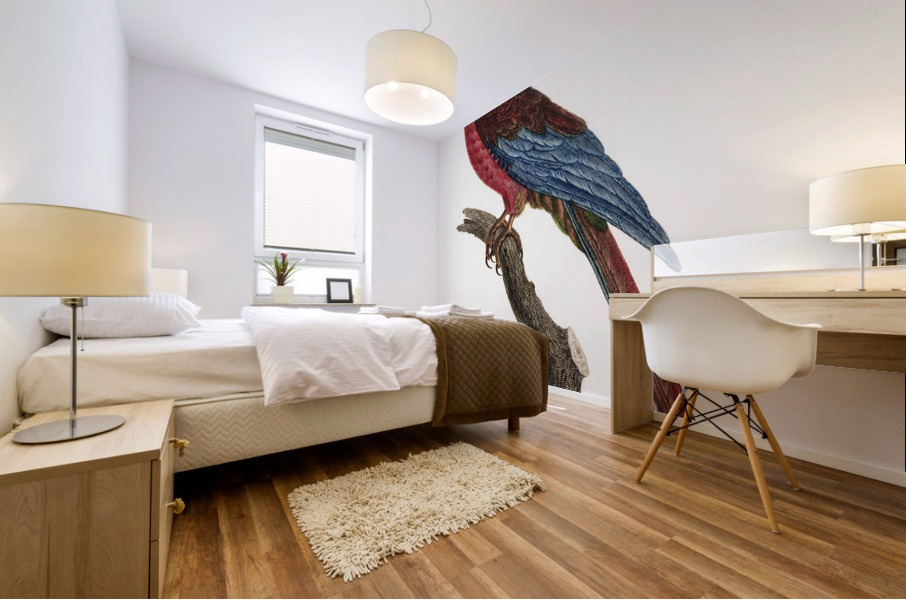 Cuban red macaw  Mural print