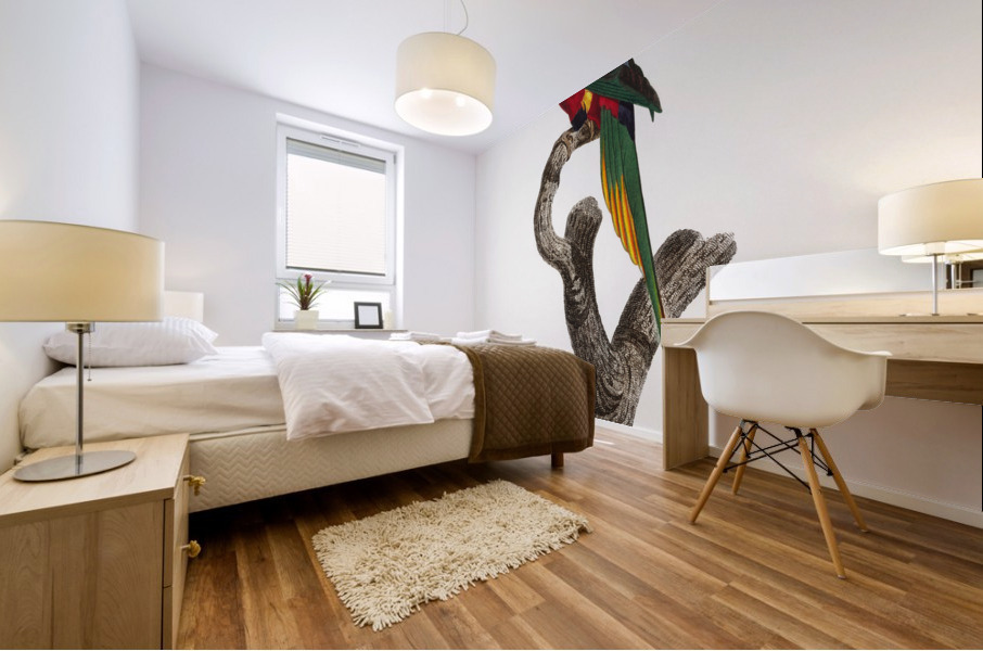 Papuan lorikeet  Mural print