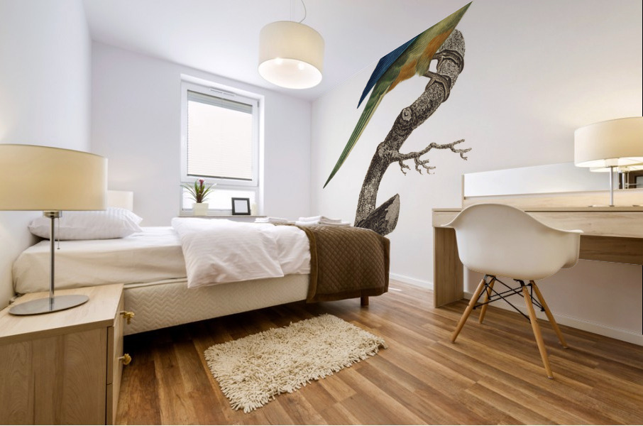 Turquoise parrot  Mural print