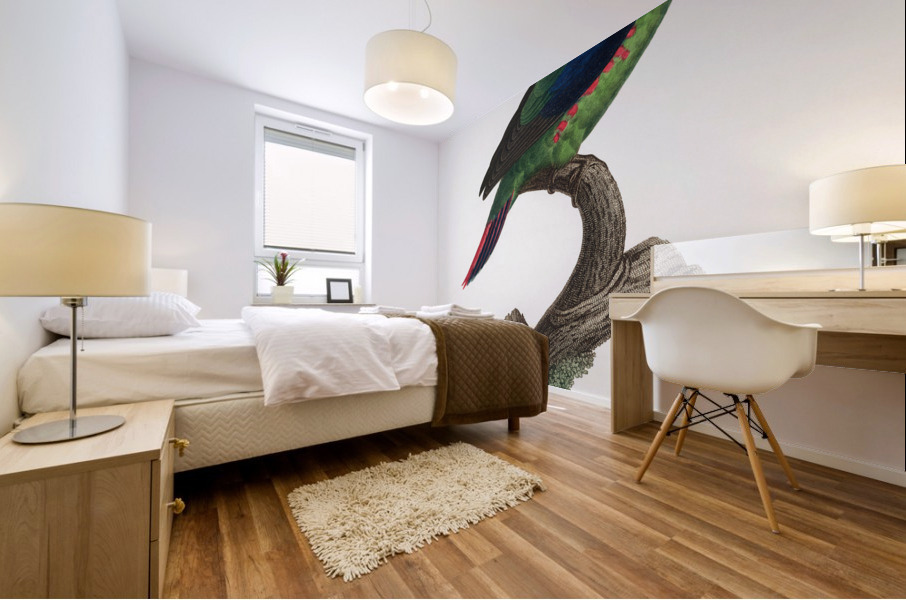 Swift parrot Mural print