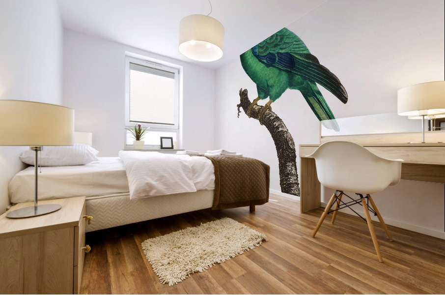 Caica parrot  Mural print