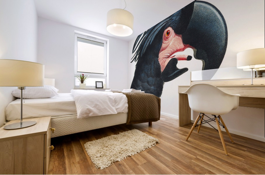 Goliath cockatoo  Mural print