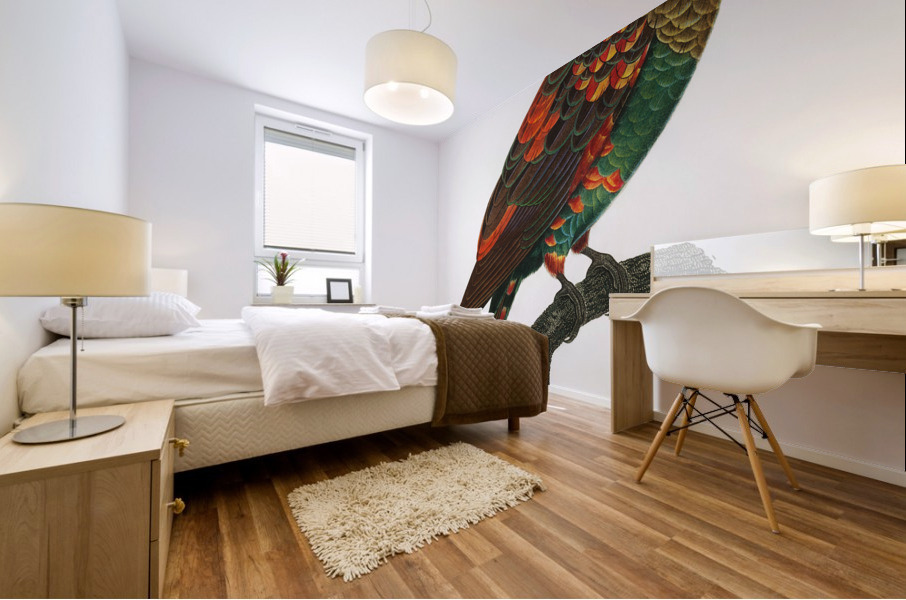 Brown-necked parrot  Mural print