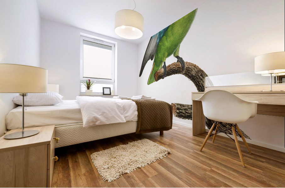 Red-cheeked parrot  Mural print