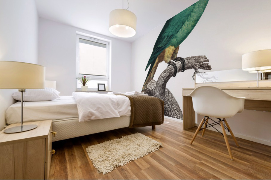 Blue-fronted amazon  Mural print