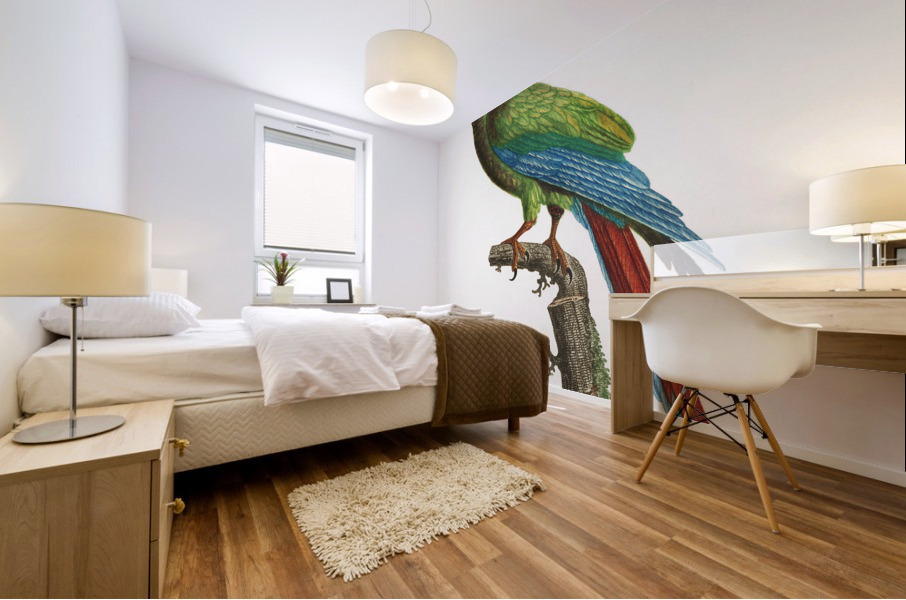 Buffons macaw  Mural print