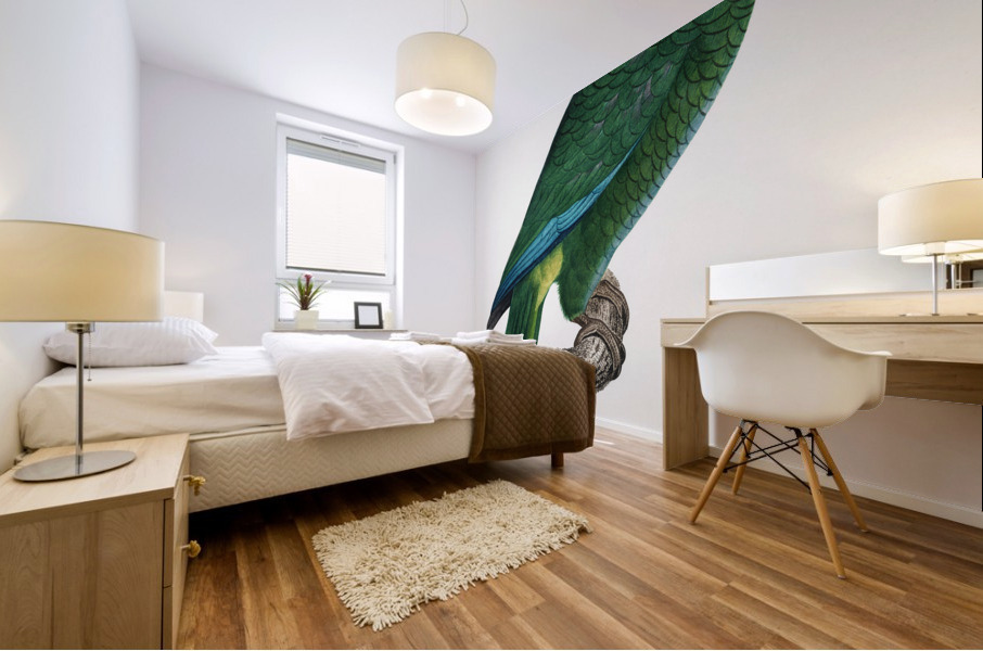 Rose-throated parrot  Mural print