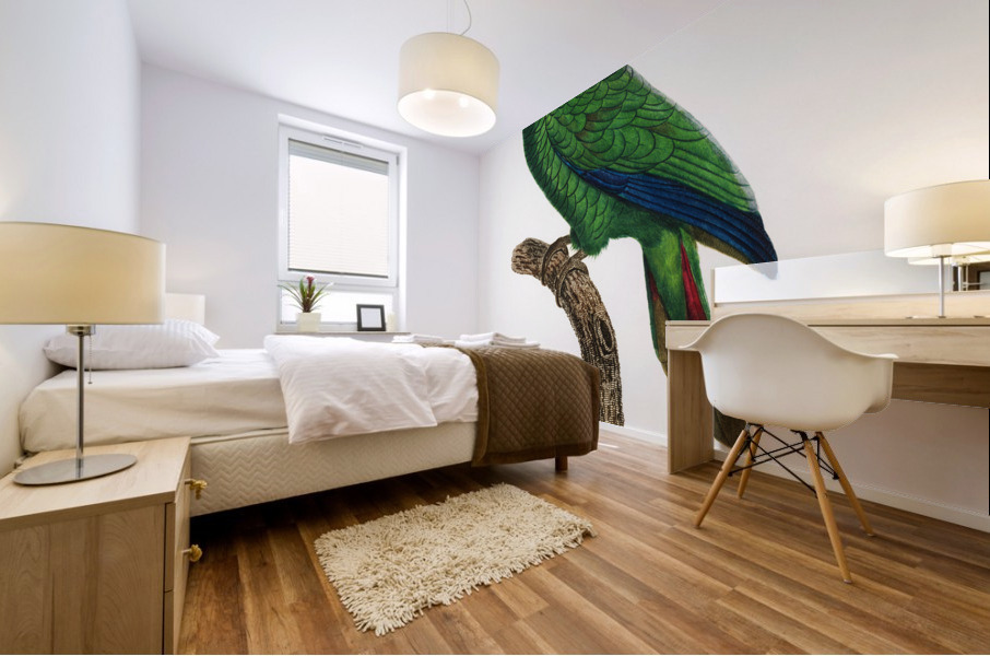 Cuban parrot  Mural print