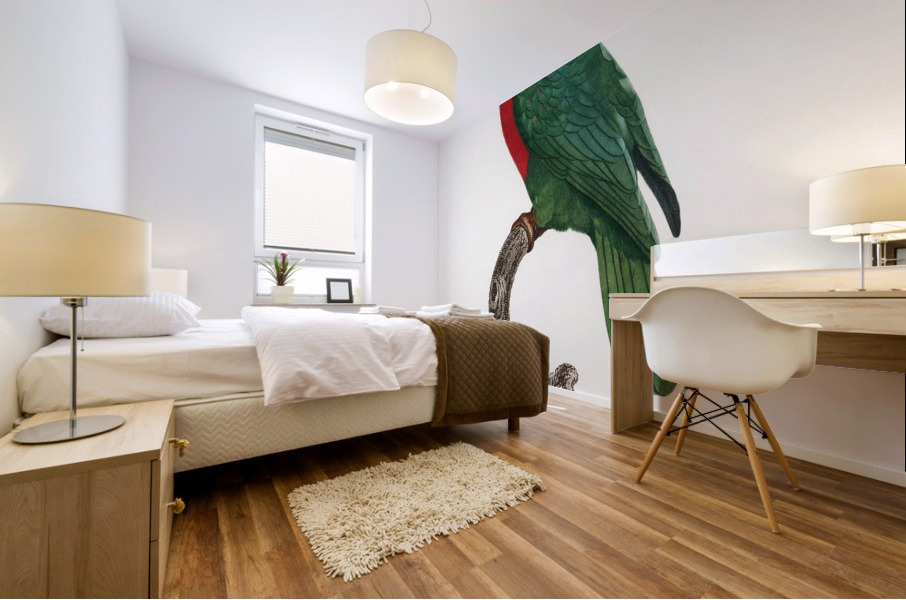 Jardines parrot  Mural print