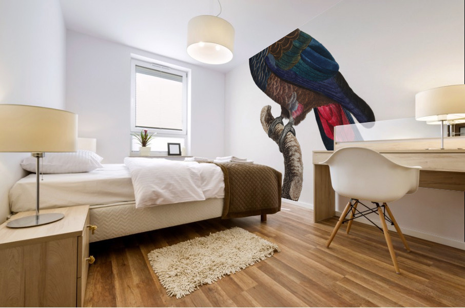 Bronze-winged parrot  Impression murale