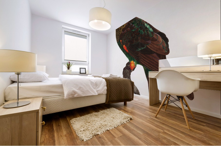 Uncape parrot  Mural print
