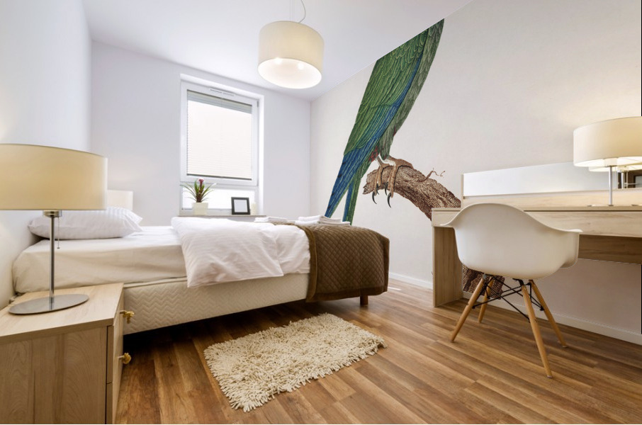 Red-bellied macaw  Mural print