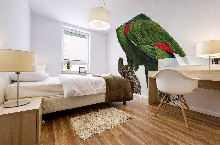 Yellow-crowned amazon  Mural print