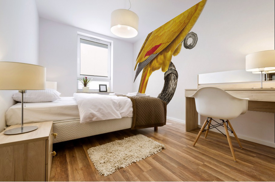 African grey parrot  Mural print