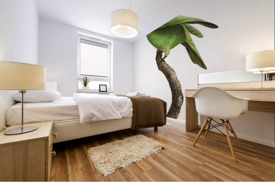 Red-cheeked parrot  Mural print