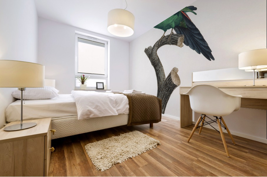 Swift parrot  Mural print