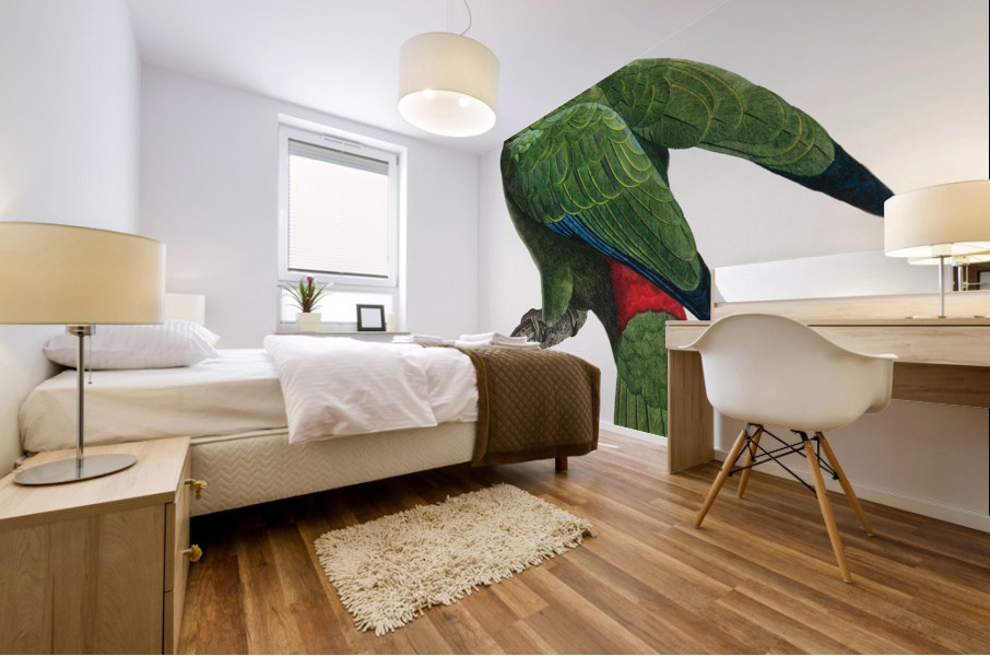 Festive parrot  Mural print