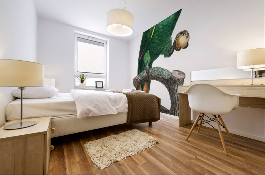 Orange-winged parrot  Mural print