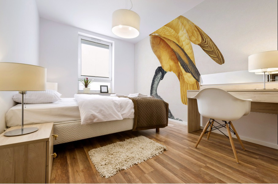 Rare yellow senegal parrot  Mural print