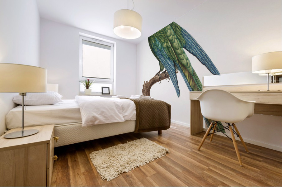 Illigers macaw  Mural print