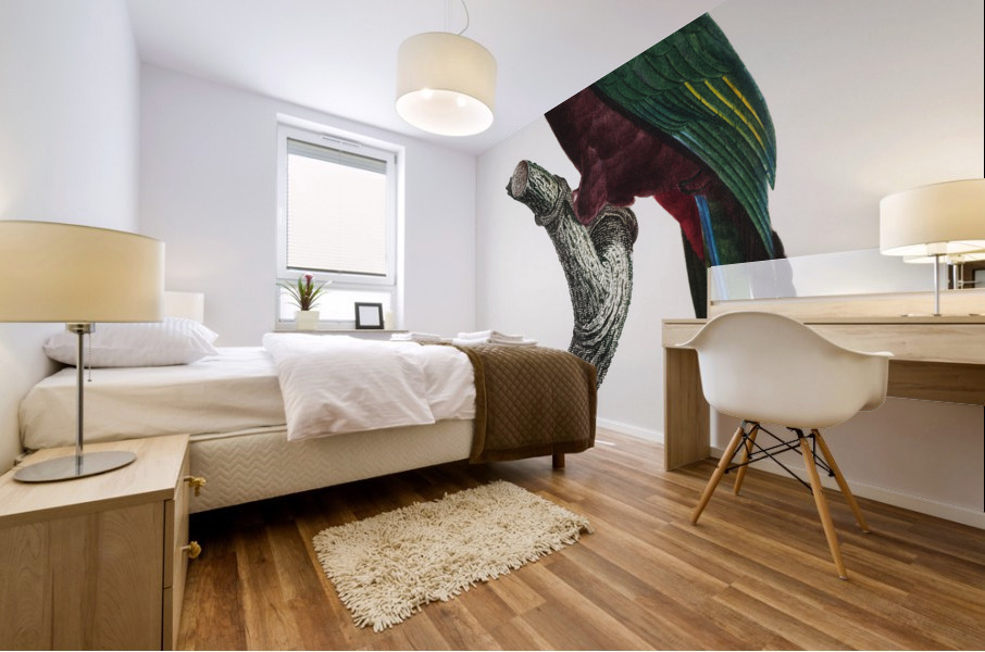 Red-billed pionus  Mural print