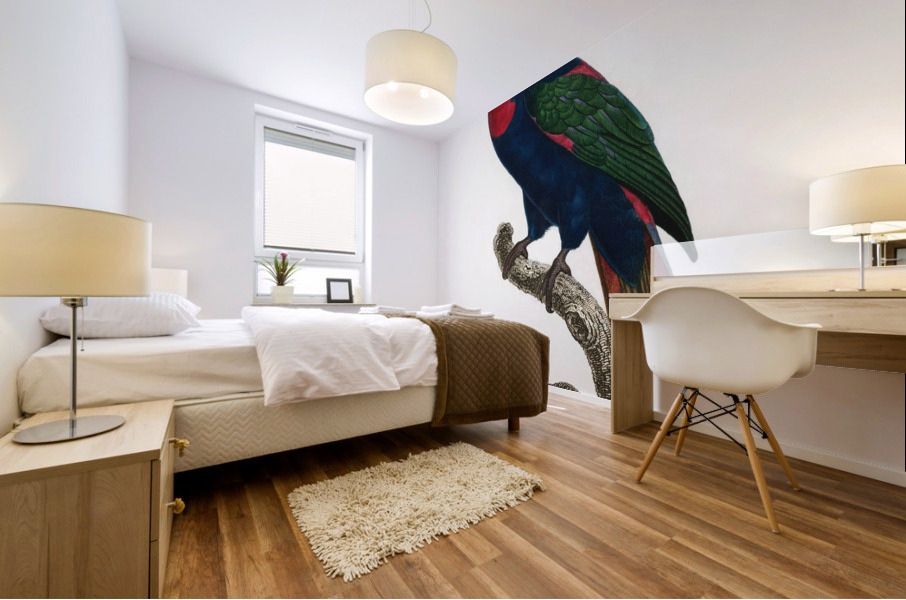 Western black-capped lory  Mural print