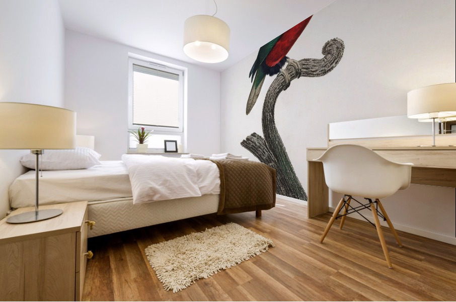 Pygmy parrot  Mural print