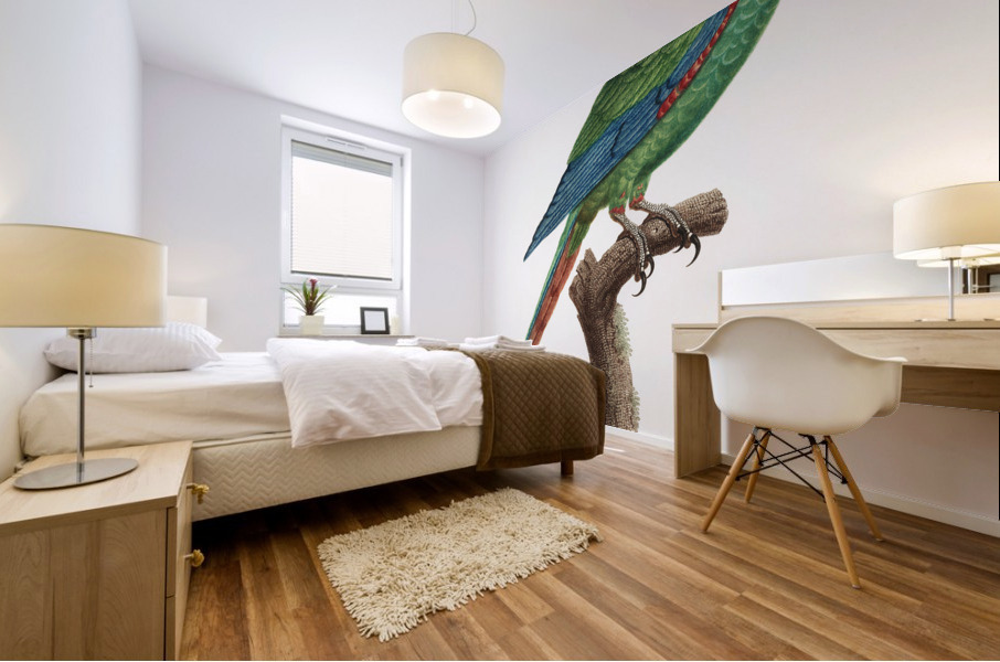 Illigers macaw  Mural print