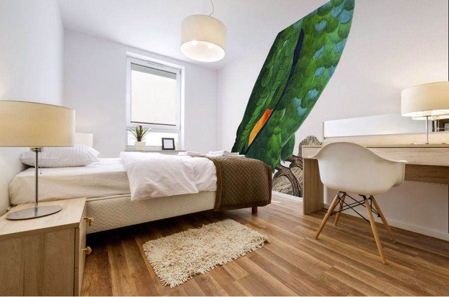 Dufresnes amazon  Mural print