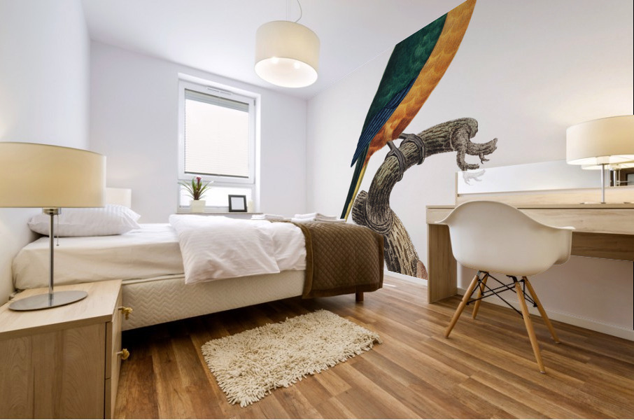 Yellow-fronted parakeet  Mural print