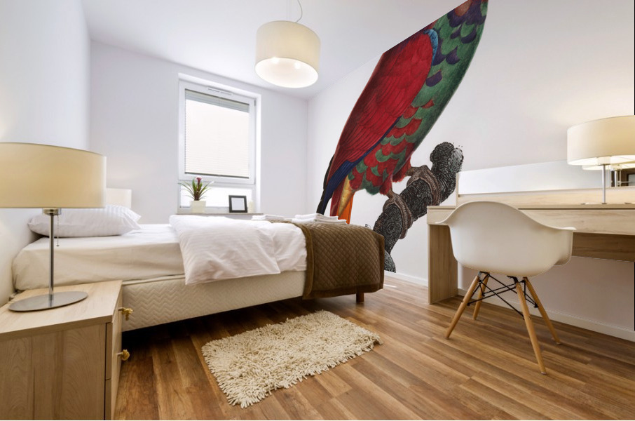 Eclectus parrot  Mural print