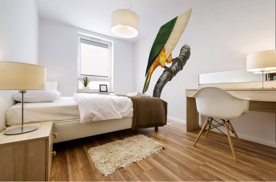 Black-Headed Parrot  Mural print