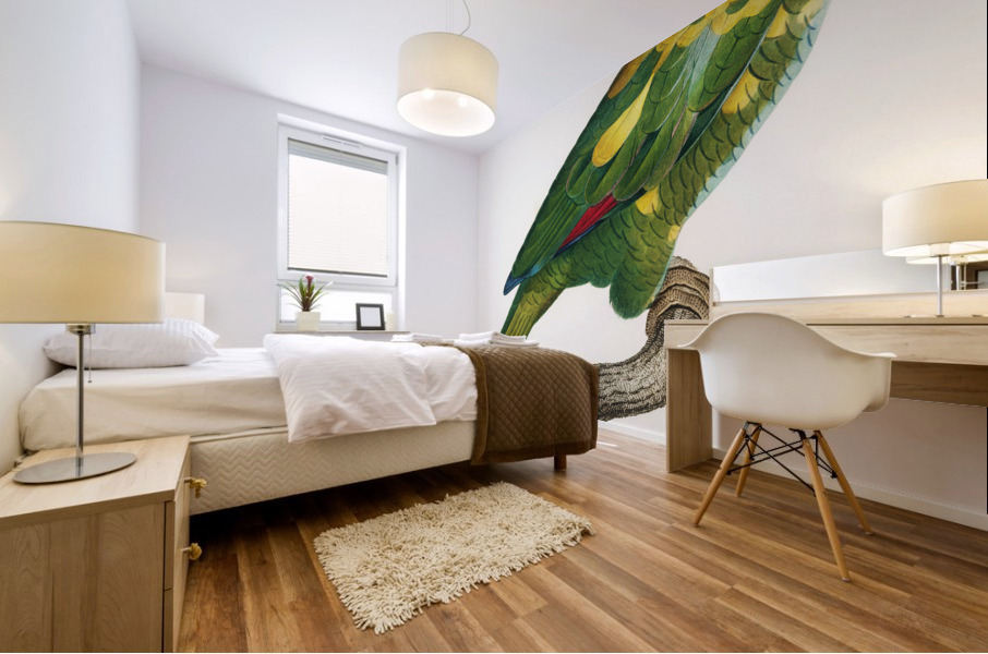 Blue-fronted amazon  Mural print