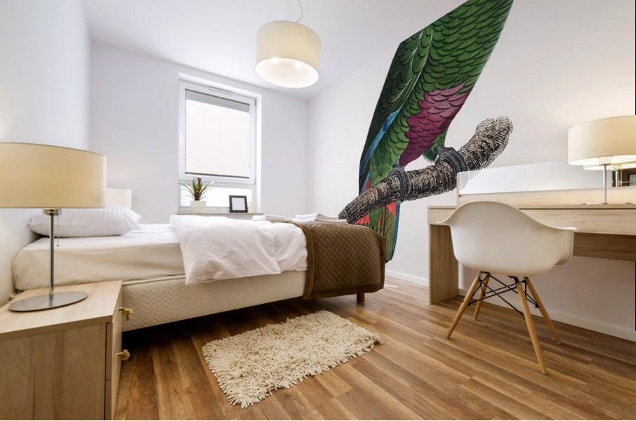 Rose-throated parrot  Mural print