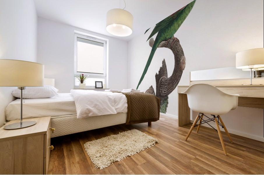 Red-throated conure  Mural print