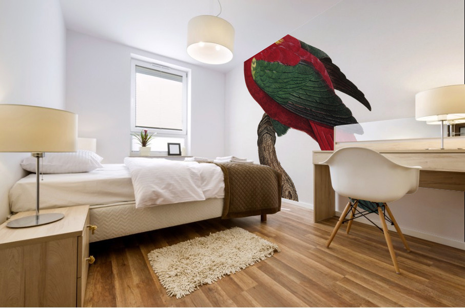 Chattering lory  Mural print