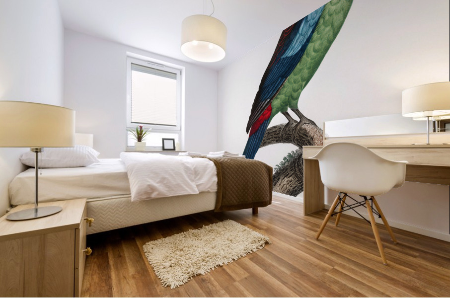 Broad-tailed parrot  Mural print