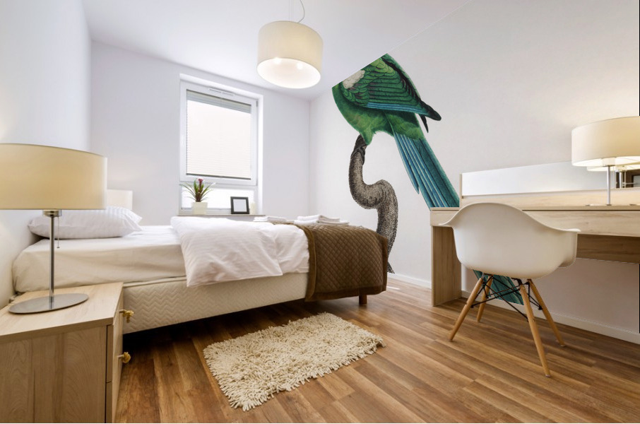 Yellow-shouldered parrot  Mural print