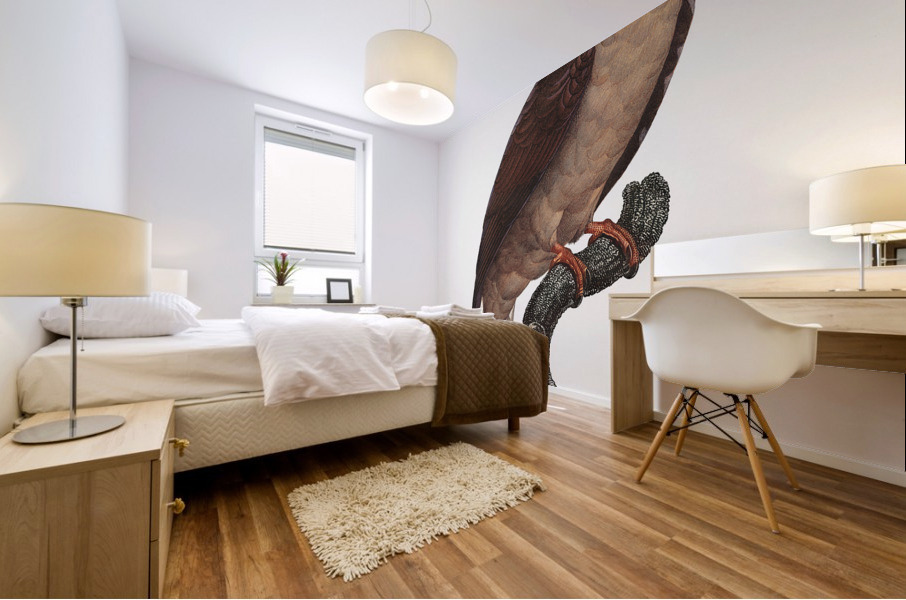 Mascarine parrot  Mural print