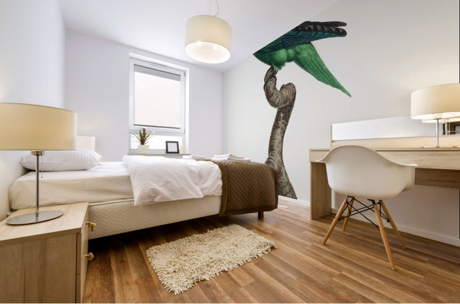 Red-faced parrot  Mural print