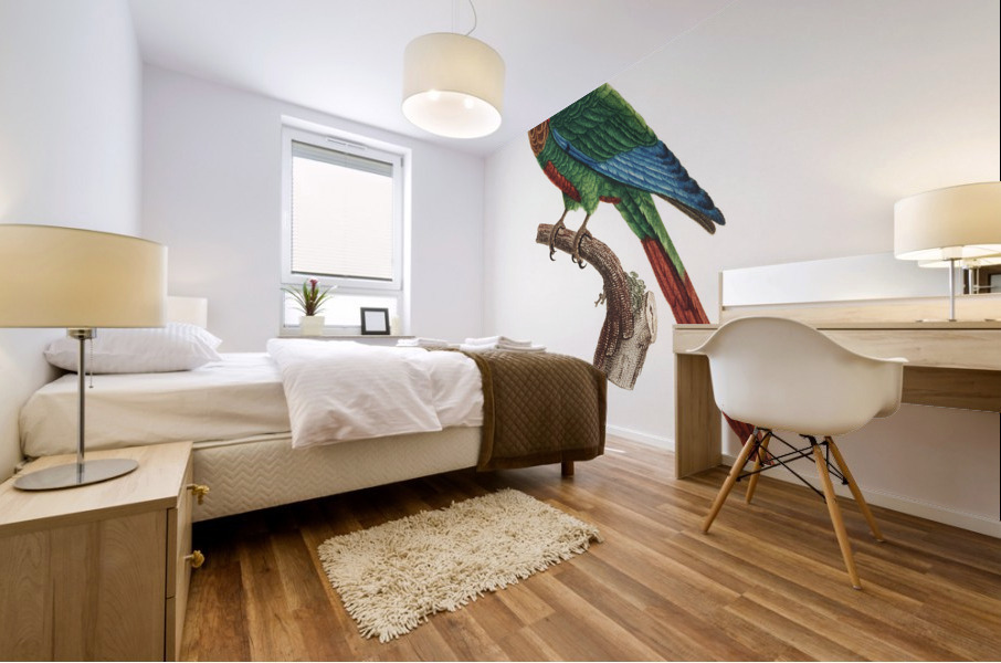 Wave-breasted parakeet  Mural print