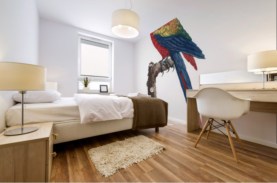 Ara macao  Mural print