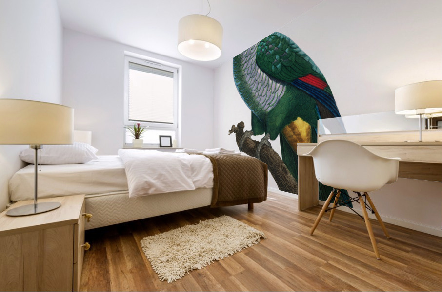 Eclectus parrot  Mural print
