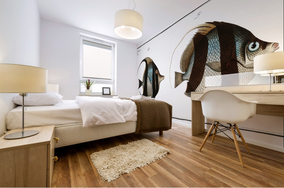 1. Chaetodon macrolepidotus 2. Chaetodon cornutus Mural print