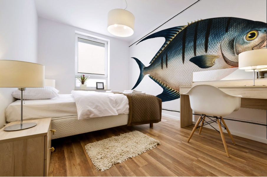 Chaetodon glaucus Mural print