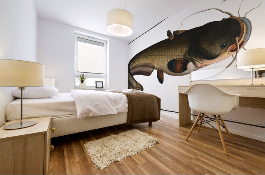 Sheat-fish Silurus Glanis Mural print