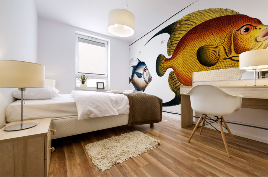 1.Chaetodon aureus 2. Silver Fish Zeus Vomer Mural print