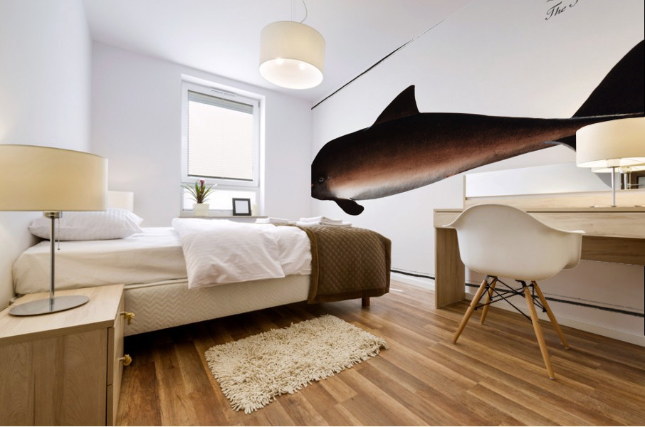 Porpesse Delphinus Phocoena Mural print