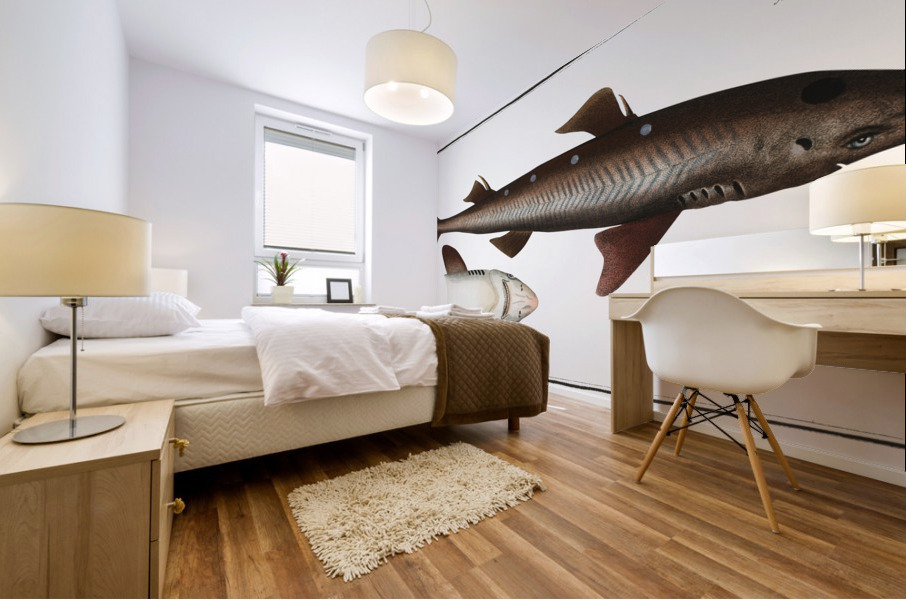 Picked- Dog Squalus Acanthias Mural print